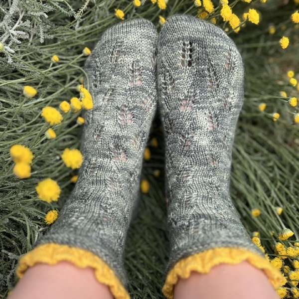 Носки "Сантолина"