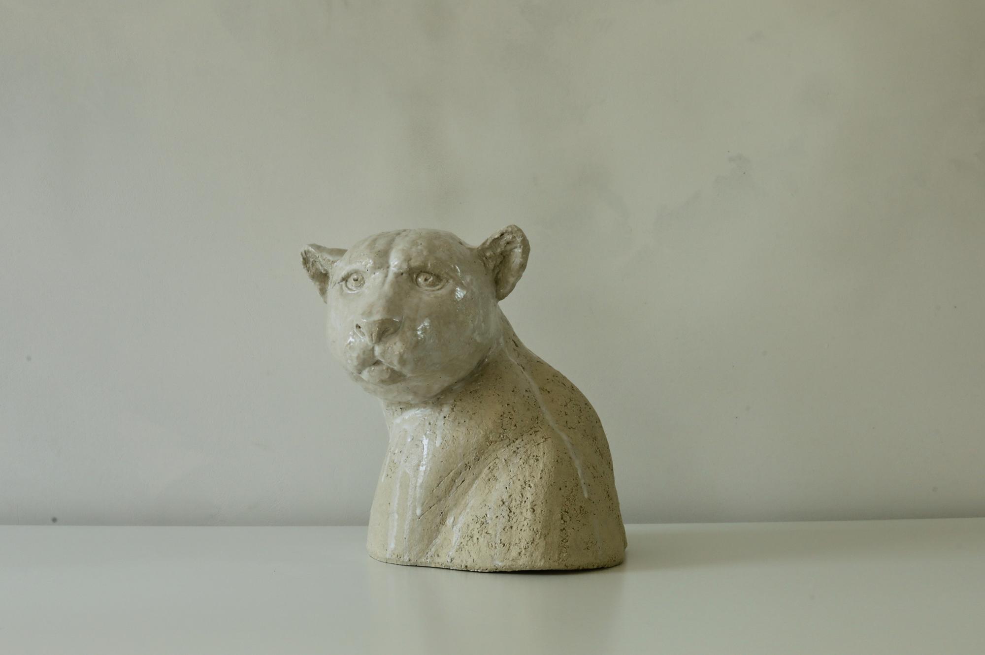 do black panthers really exist?