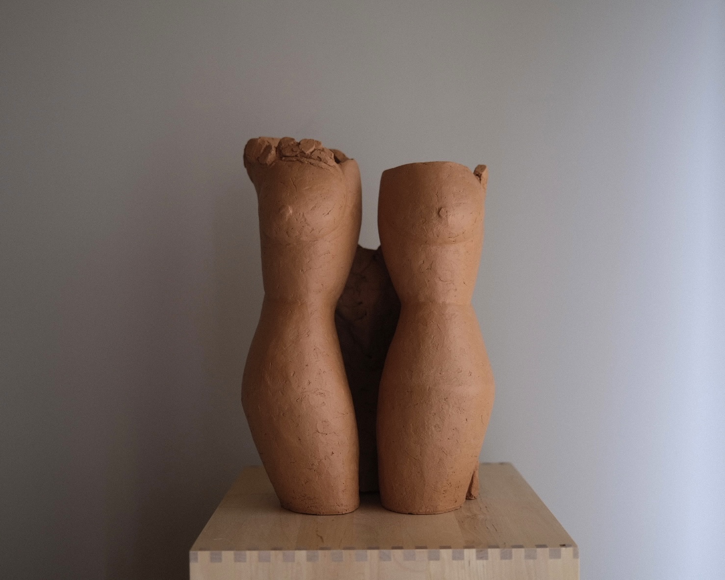 освобождение Дафны