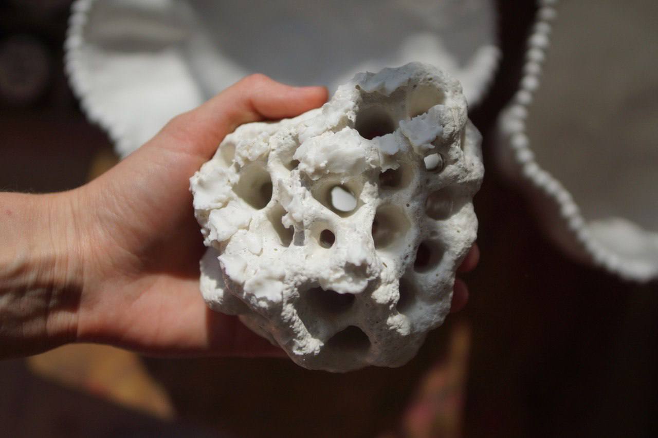 Кензан коралл