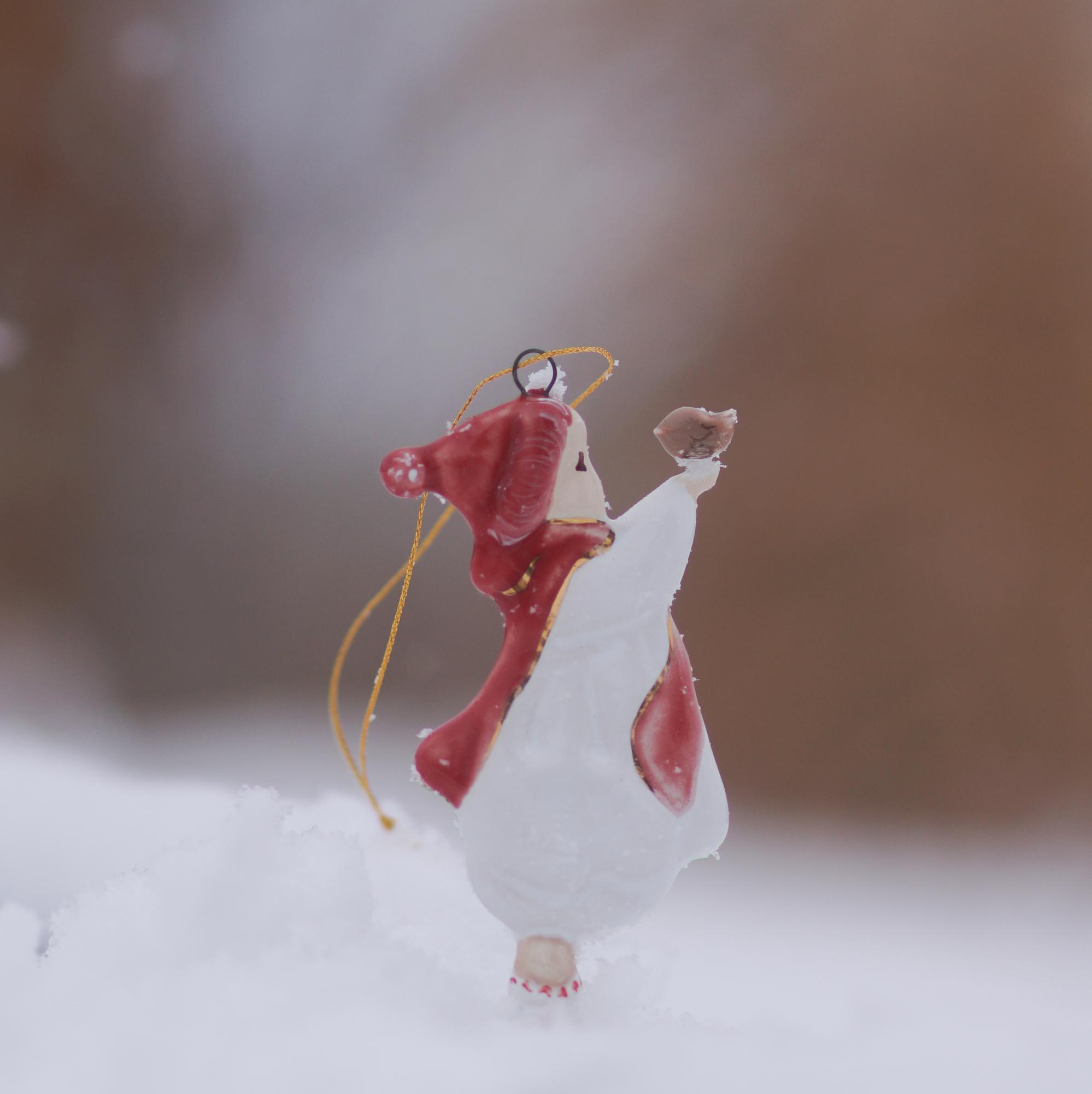 Девчушка в красном шарфе с птичкой