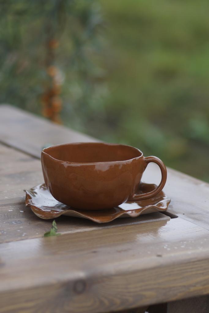 Чайная пара Терракота