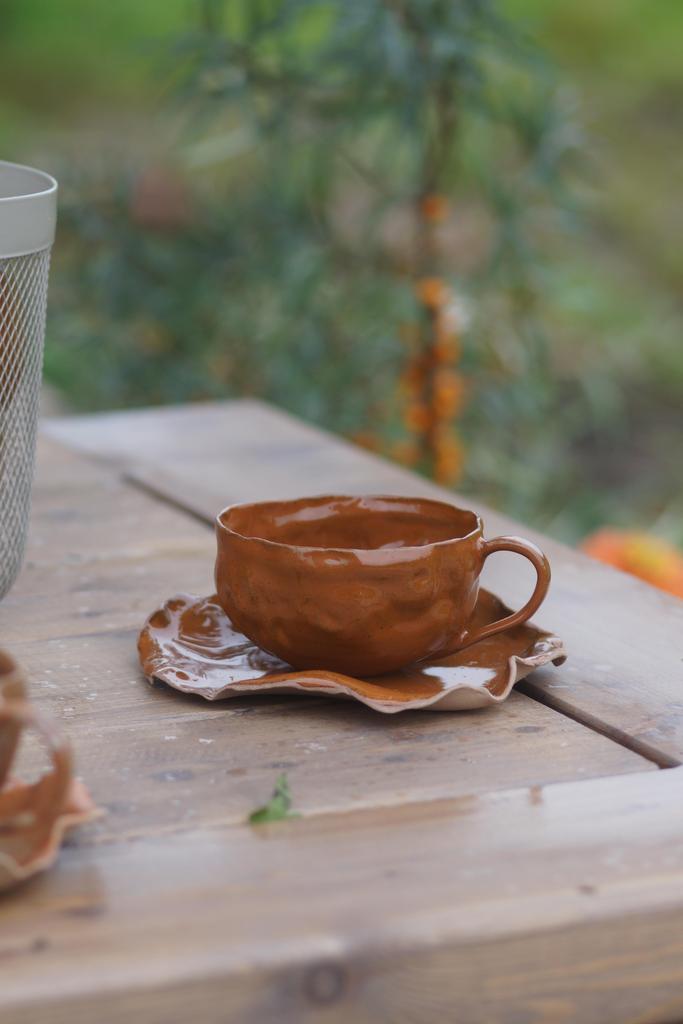 Чайная пара Терракота