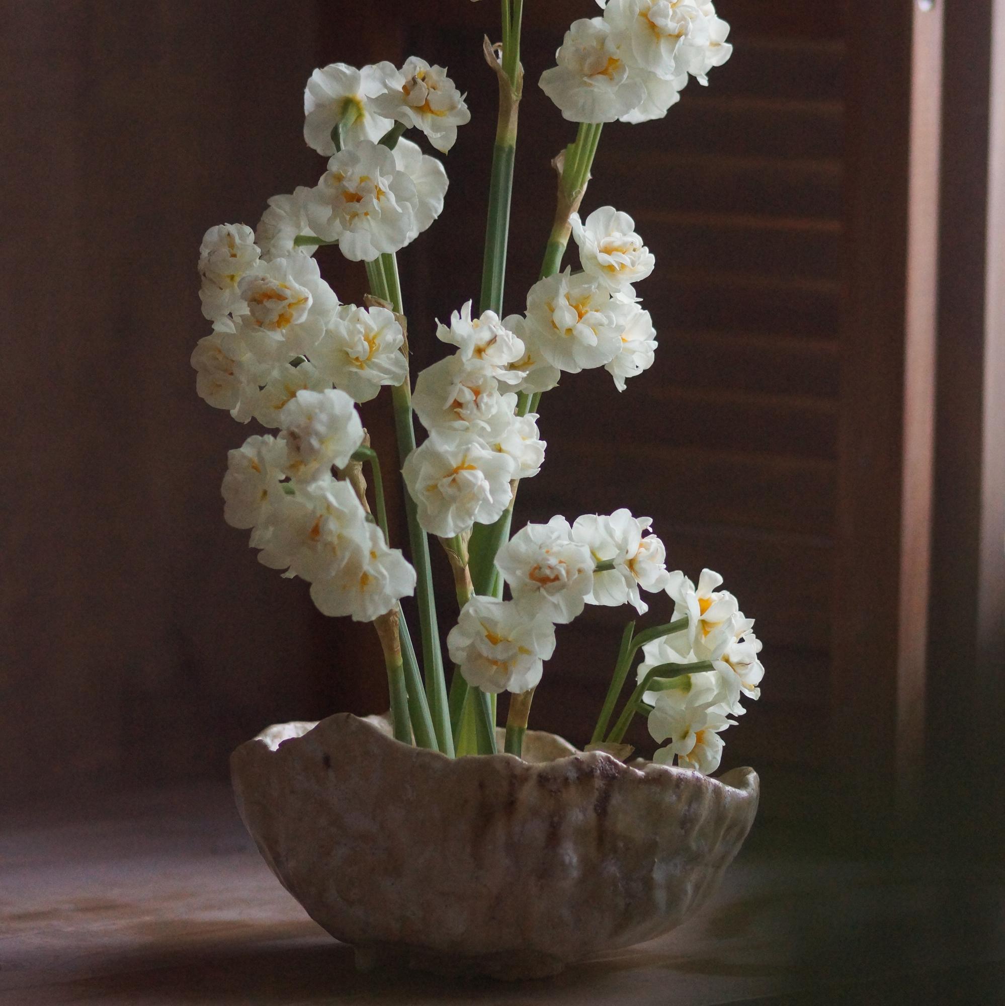 Ваза для кензана Терра