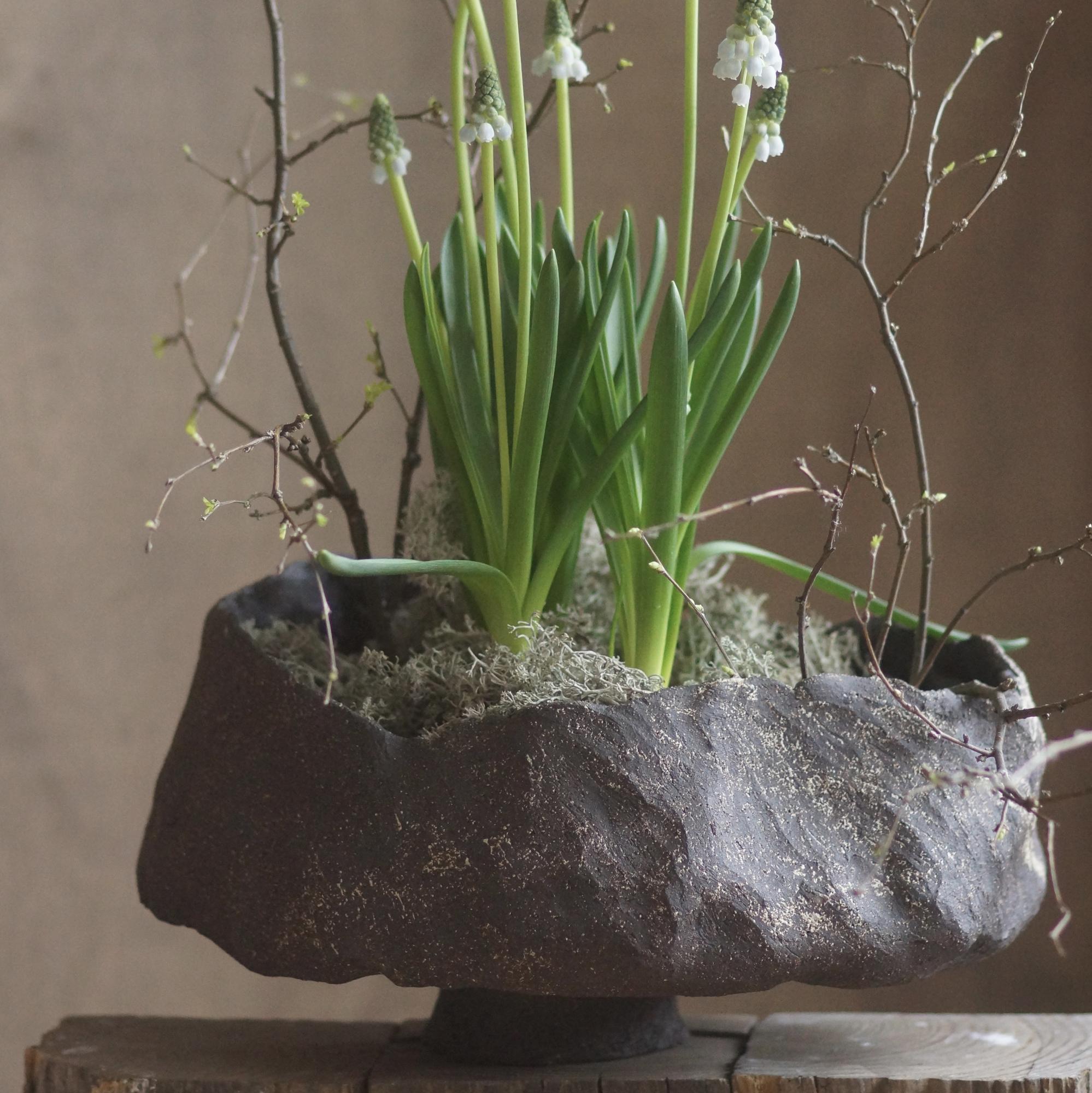 Ваза для кензана, серия «Бобы»