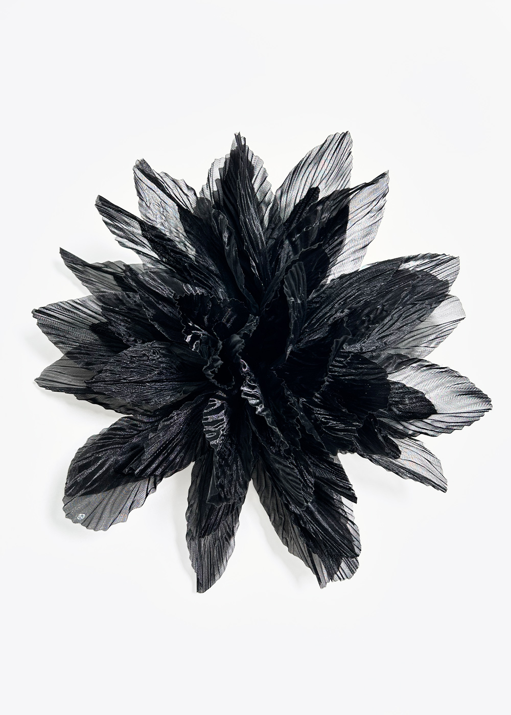 Peony plisse black 20cm