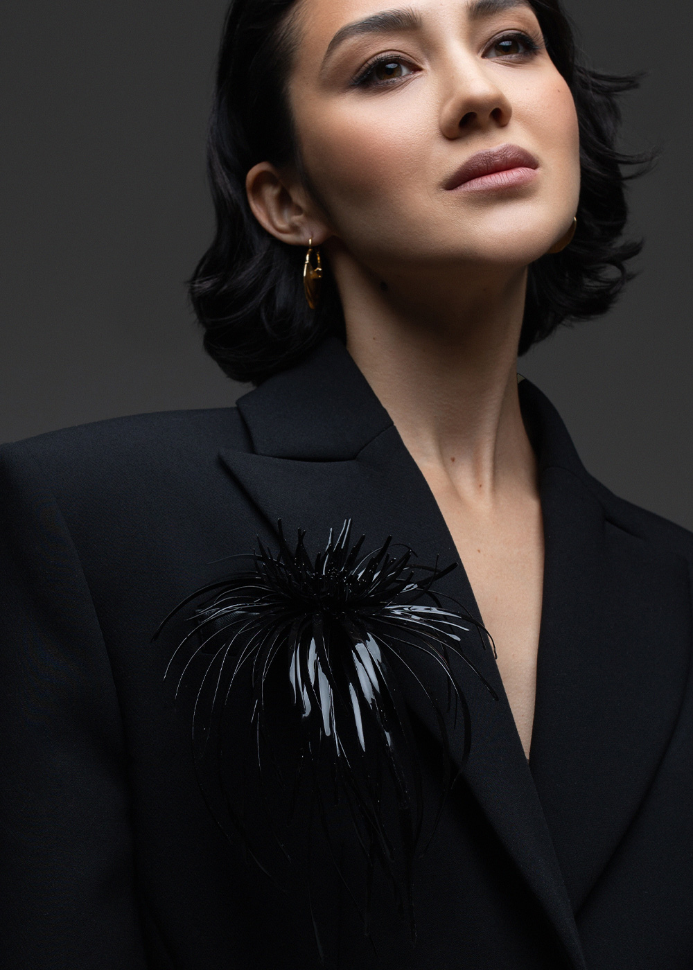 Aster of vitral black 18-20cm