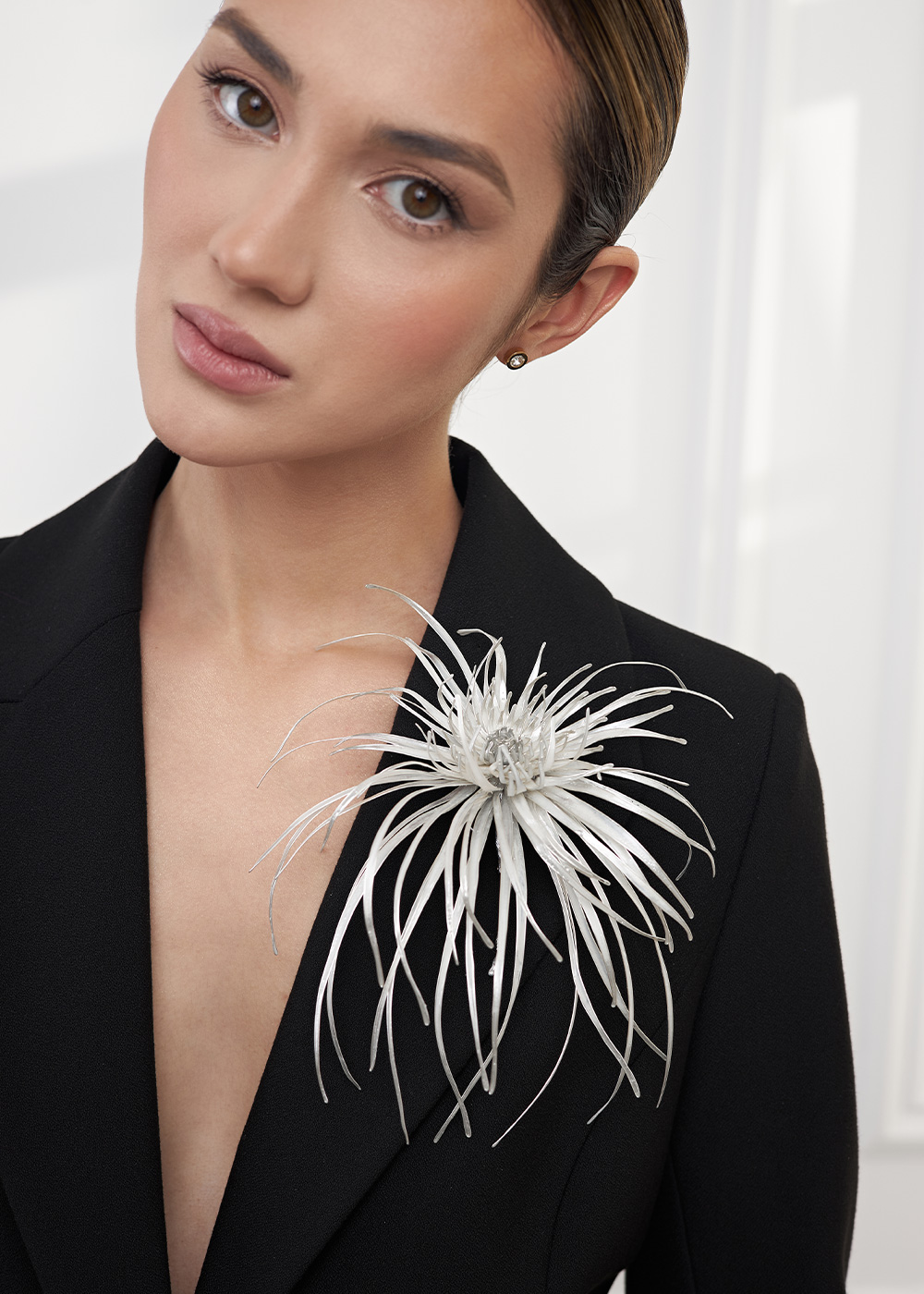 Aster of vitral silver 18-20cm