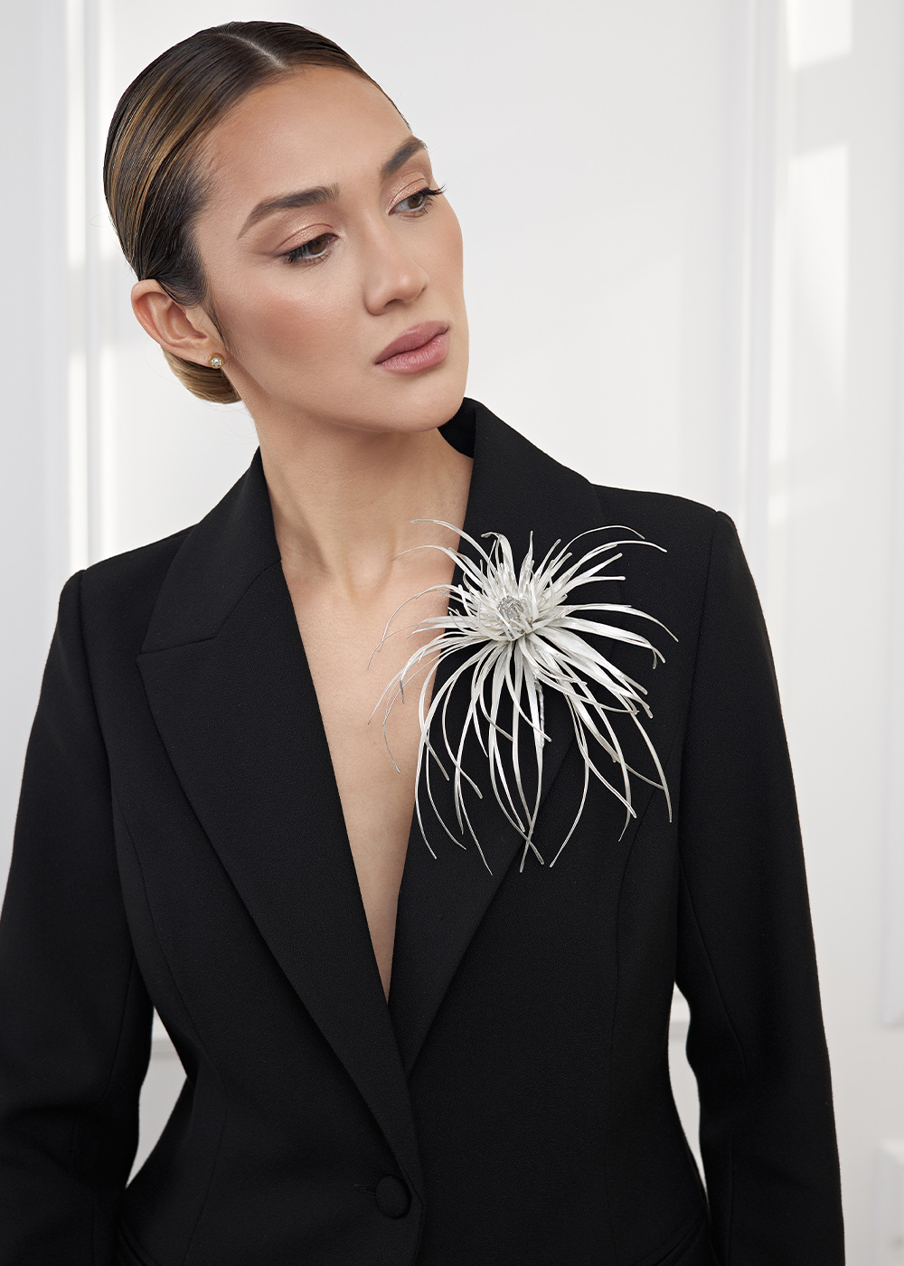 Aster of vitral silver 18-20cm