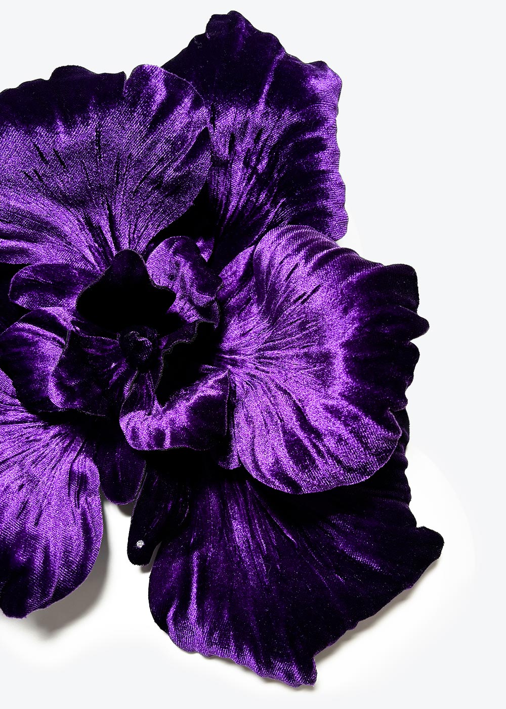 Flower of velvet amethyst 30cm