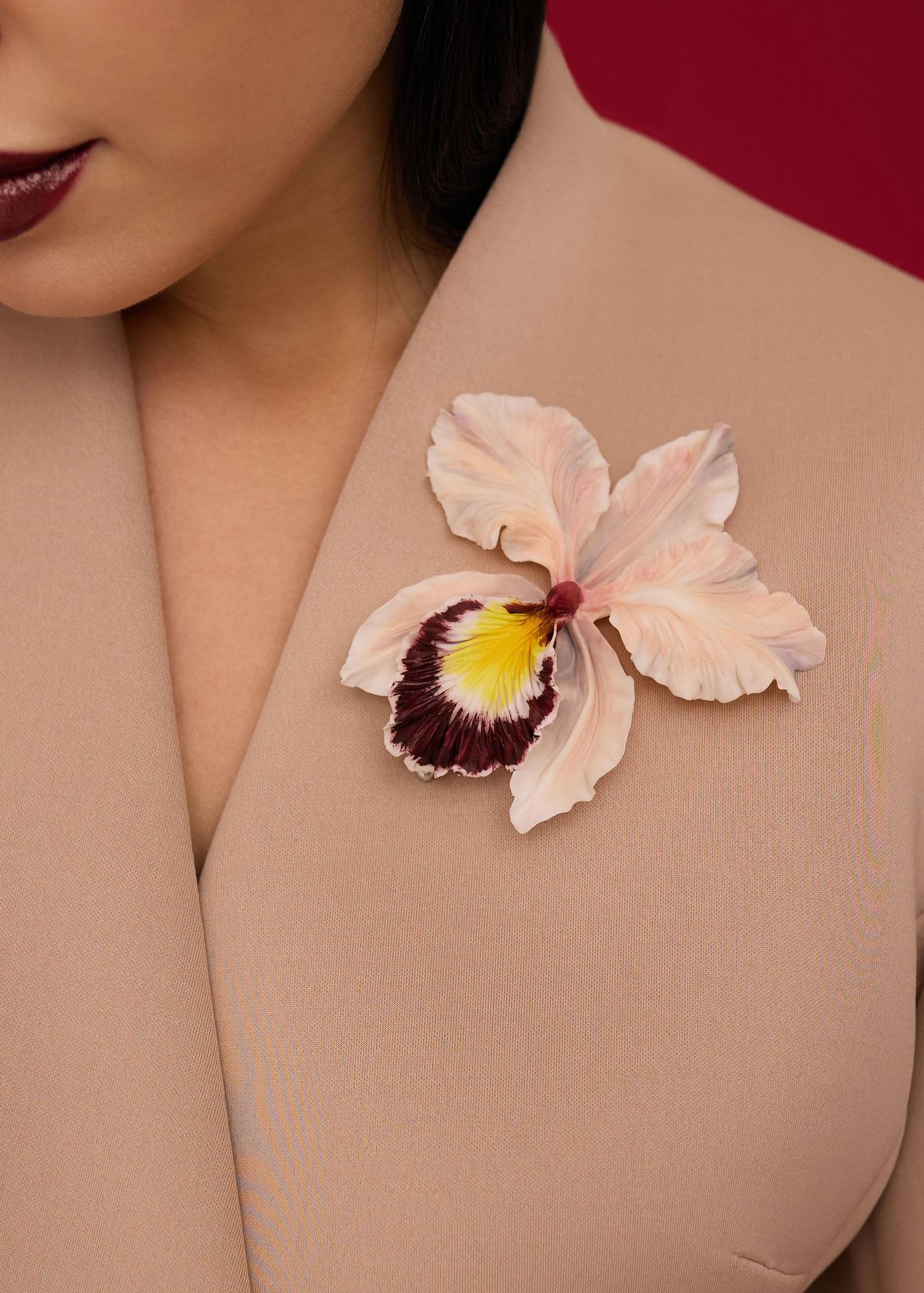 Cattleya, pink with burgundy