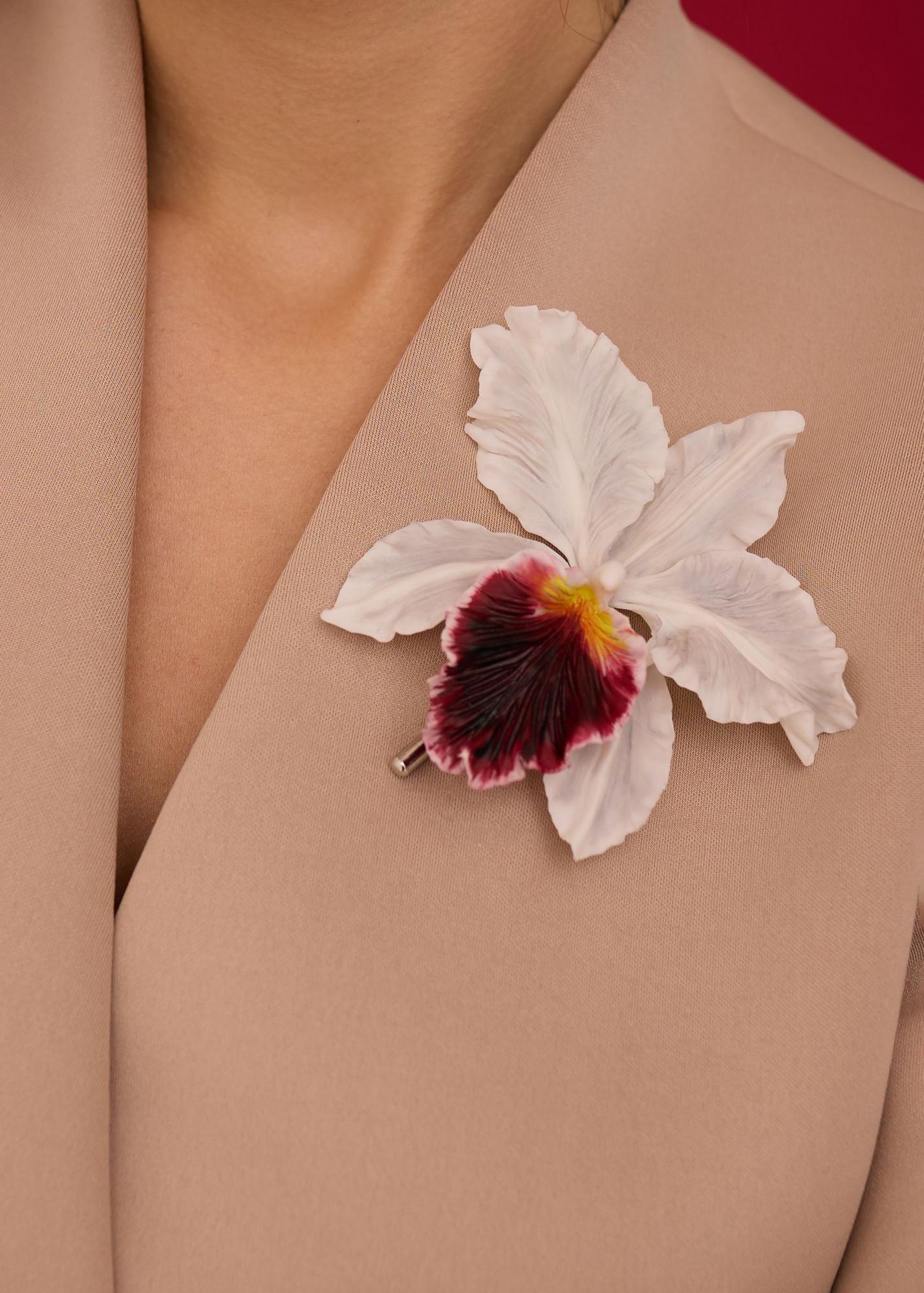 Cattleya, white with burgundy