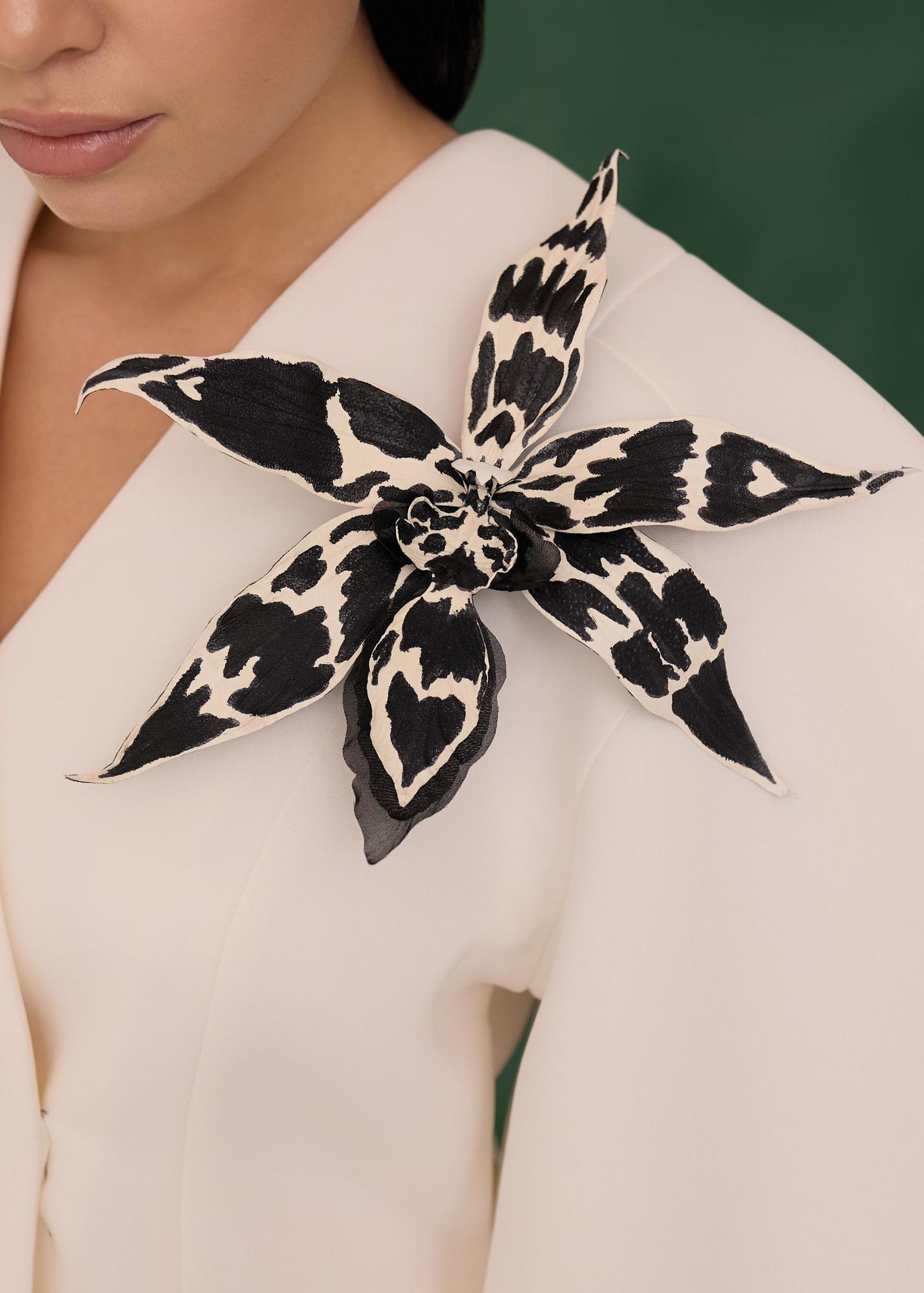 Orchid Cambria 20cm, black and white