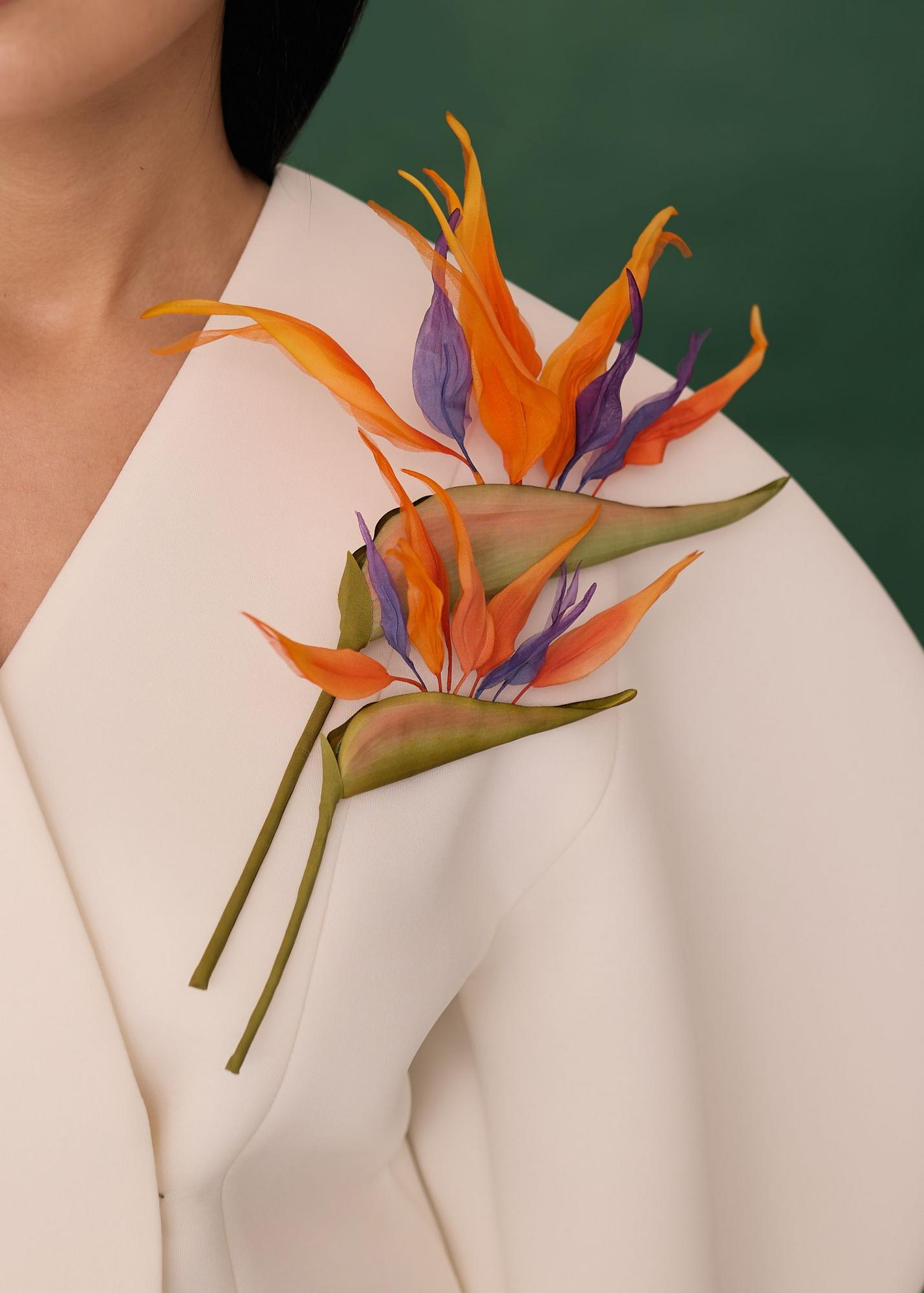 Strelitzia small 18cm