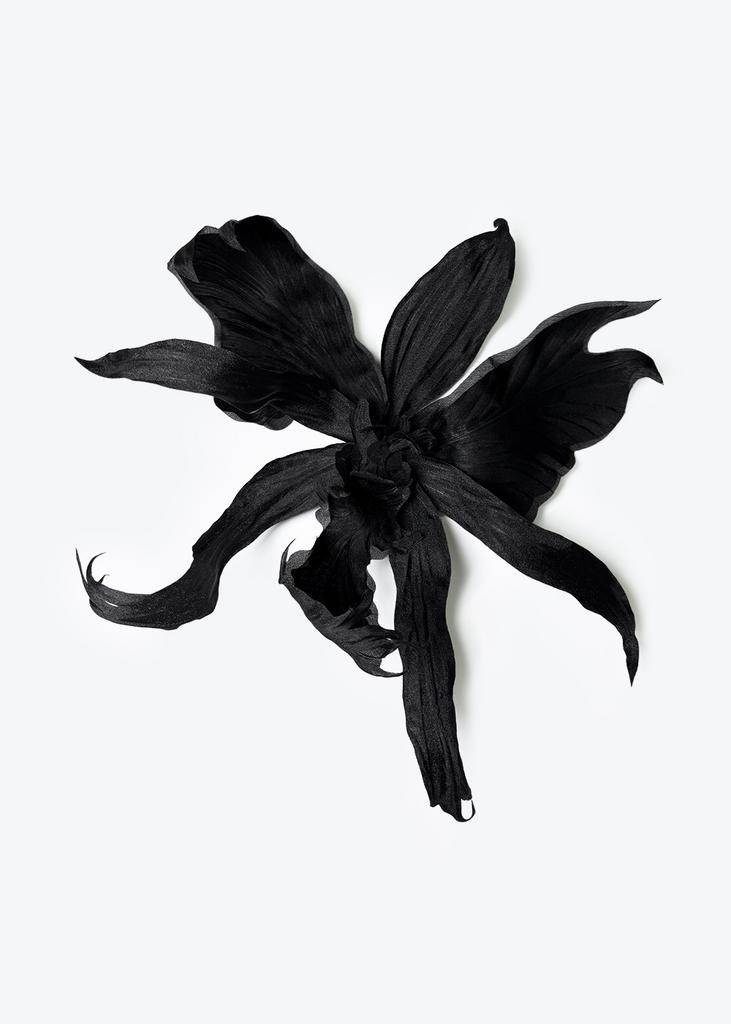 Single-earring orchid, black