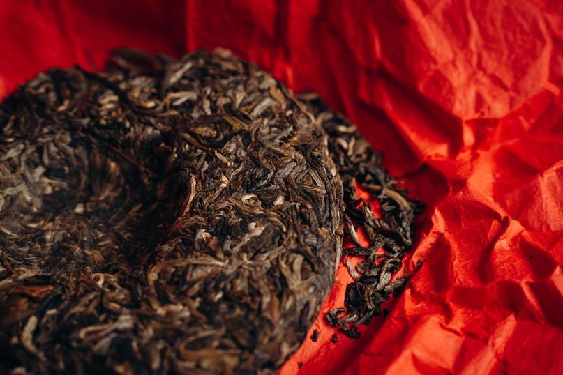 "Мощь Трех Веков", 300 л. деревья Цянь Цзя Чжан