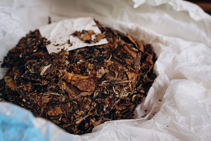 Белый чай с деревьев из Мэнхай от мастера Ван Бо Ши