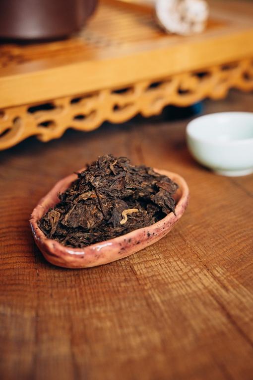 Мощь древних деревьев