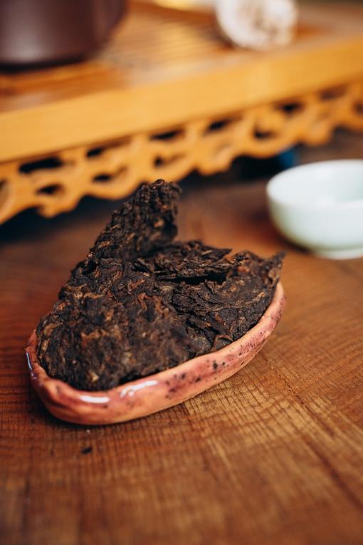 Древние деревья с горы Булан, 2020 г.