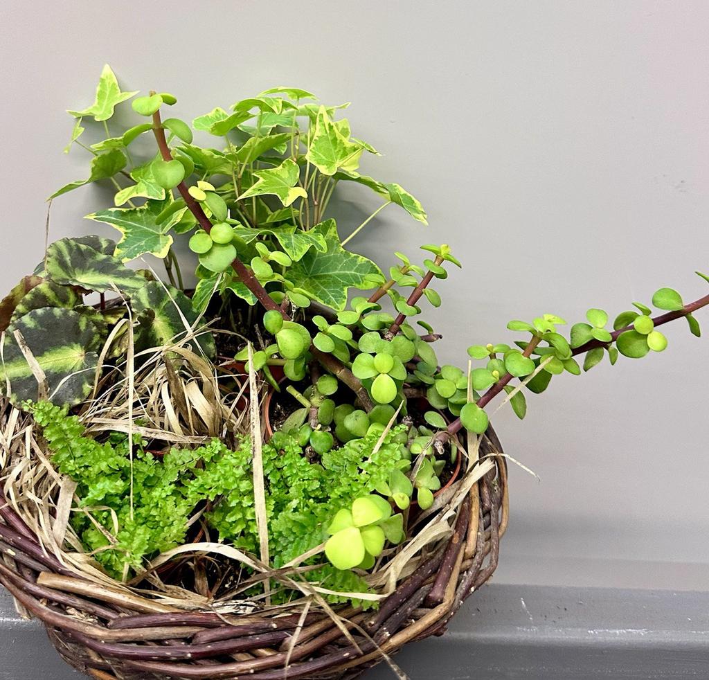 Композиция "Зеленое лукошко"