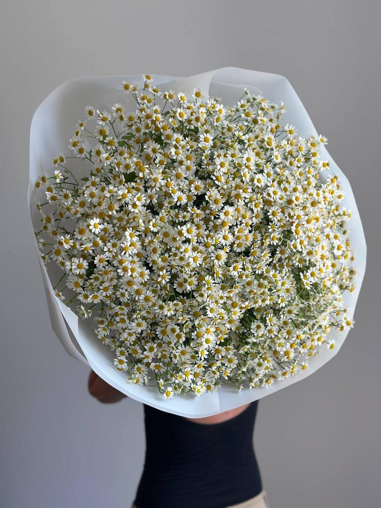 МОНОБУКЕТ КУСТОВЫХ РОМАШЕК