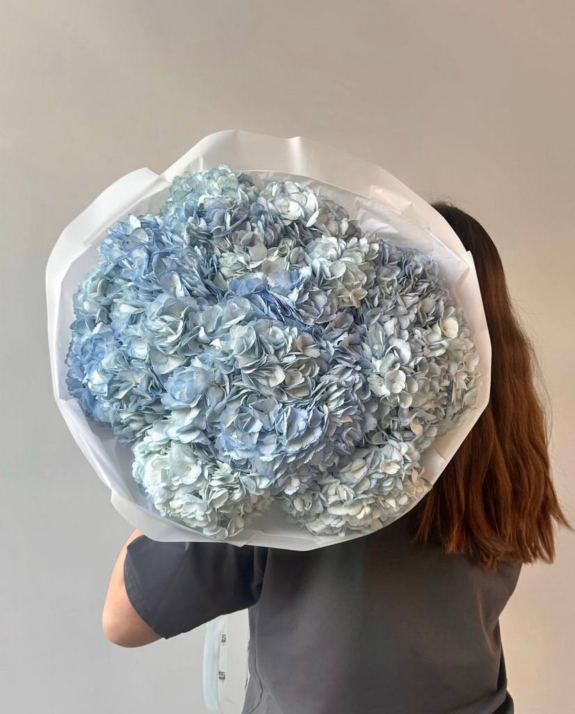 МОНОБУКЕТ ПЫШНЫХ ГОРТЕНЗИЙ "ГОЛУБЫЕ ОБЛАКА"