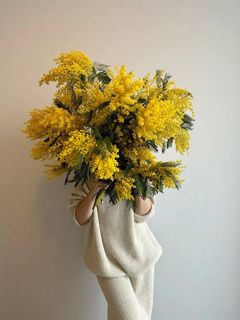 МОНОБУКЕТ ПУШИСТОЙ МИМОЗЫ