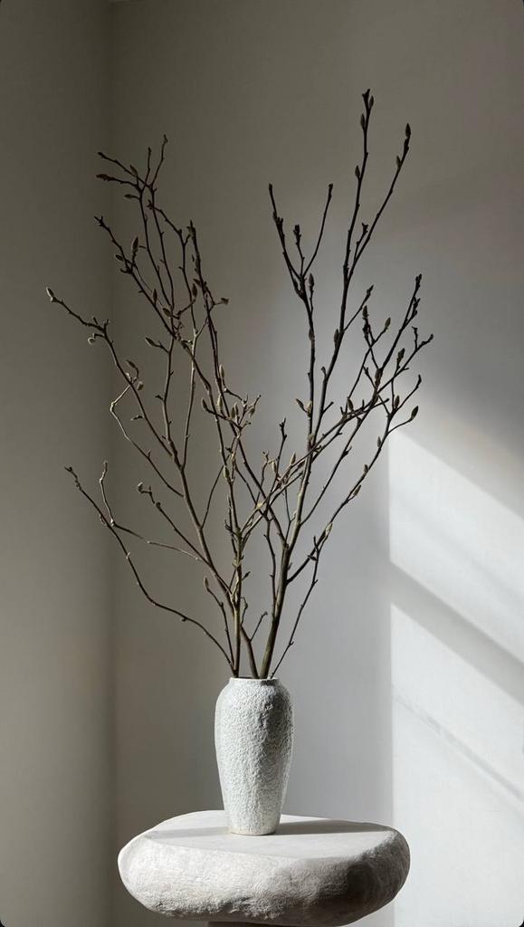 ВЕТКИ МАГНОЛИИ В ИНТЕРЬЕР