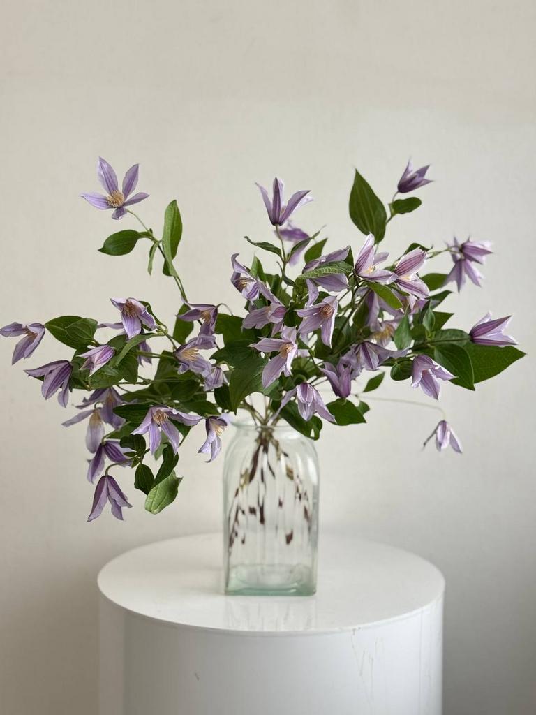 ЦВЕТЫ В ИНТЕРЬЕР "КЛЕМАТИС"