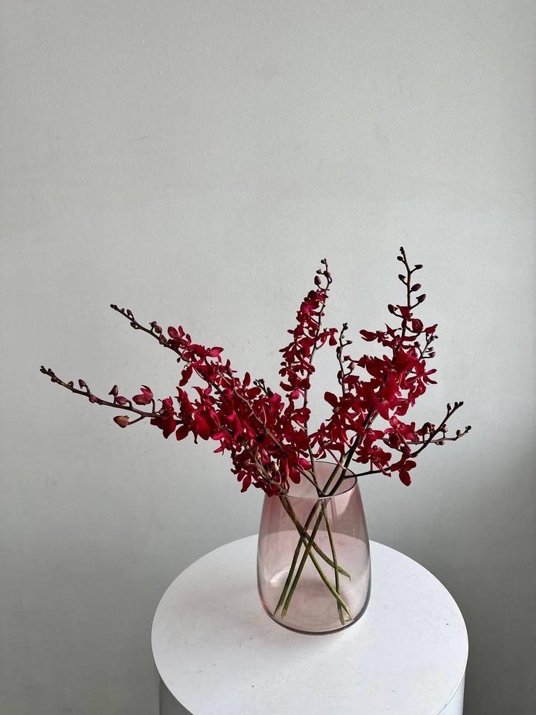 ЦВЕТЫ В ИНТЕРЬЕР "ОРХИДЕЯ"