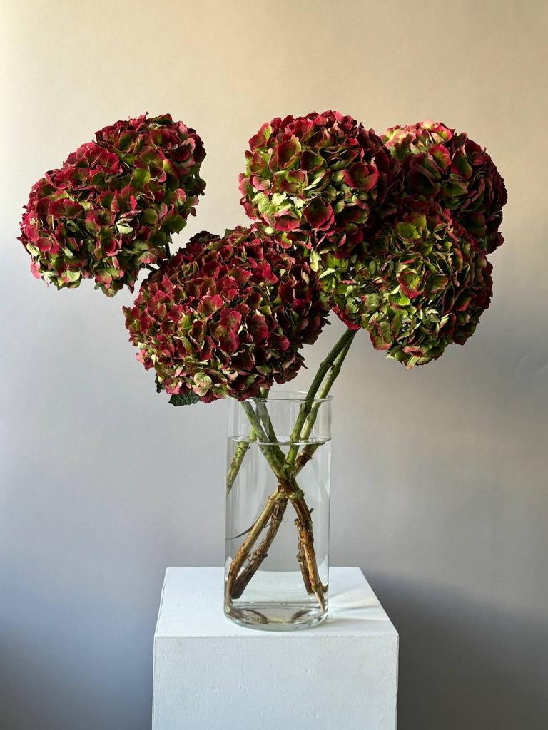 ЦВЕТЫ В ИНТЕРЬЕР "ГОРТЕНЗИИ"