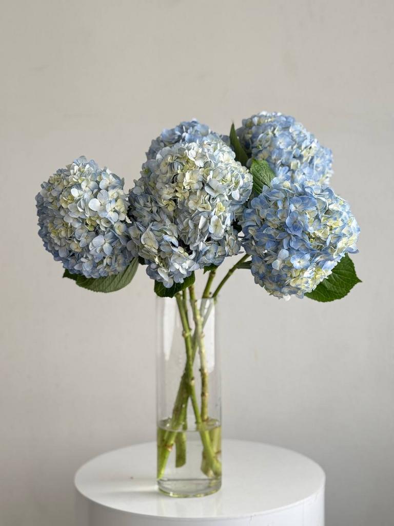 ЦВЕТЫ В ИНТЕРЬЕР "ГОРТЕНЗИИ ГОЛУБЫЕ"