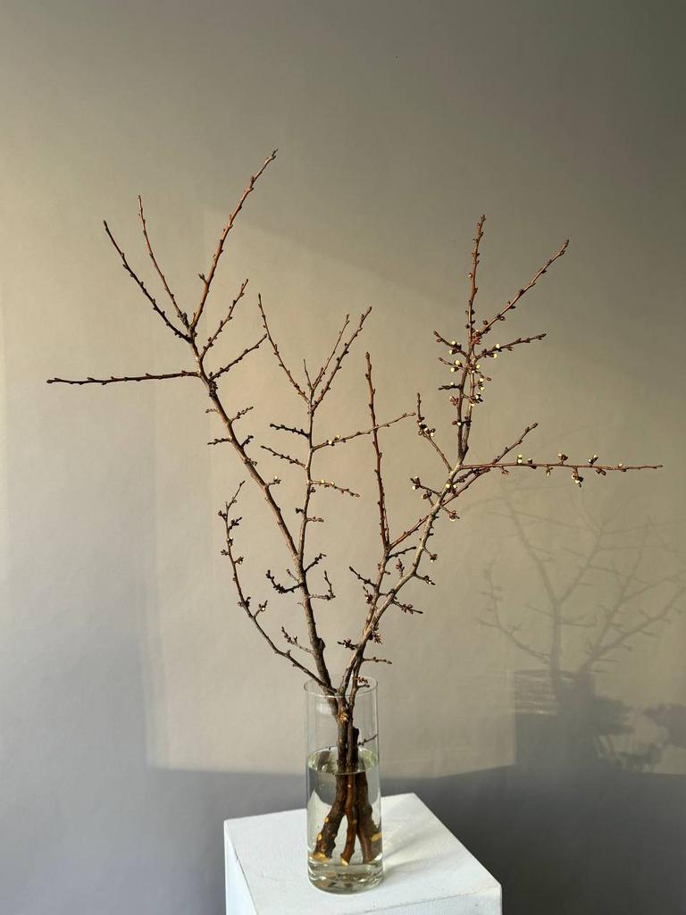 ЦВЕТЫ В ИНТЕРЬЕР "ЦВЕТУЩИЕ ВЕТКИ"