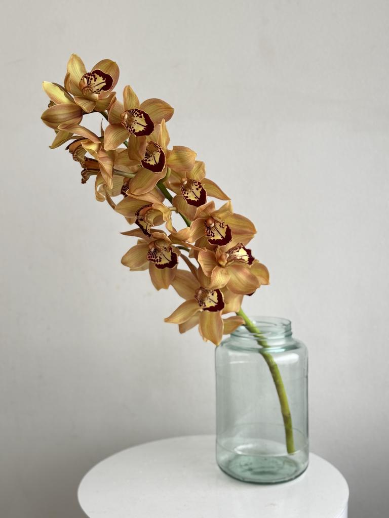 ЦВЕТЫ В ИНТЕРЬЕР "ЦИМБИДИУМ"