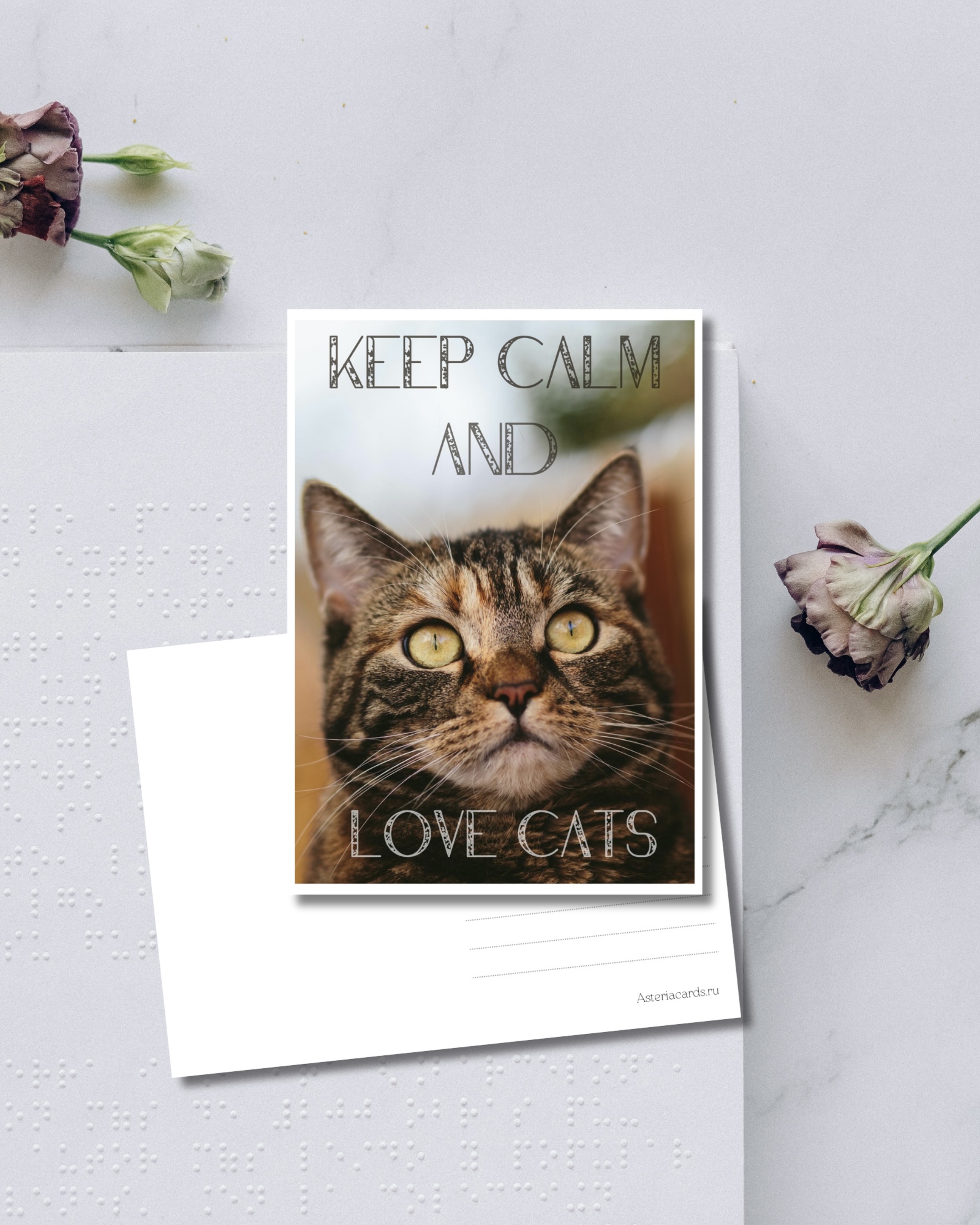 «Keep calm and love cats»