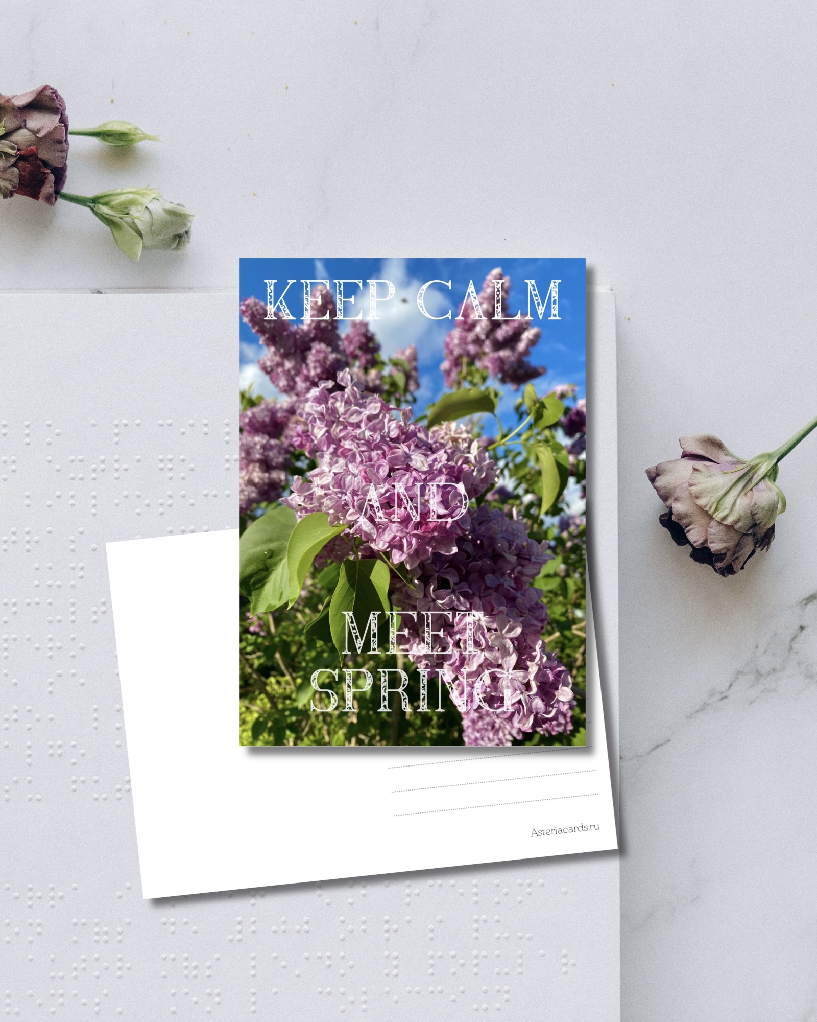 «Keep calm and meet spring»