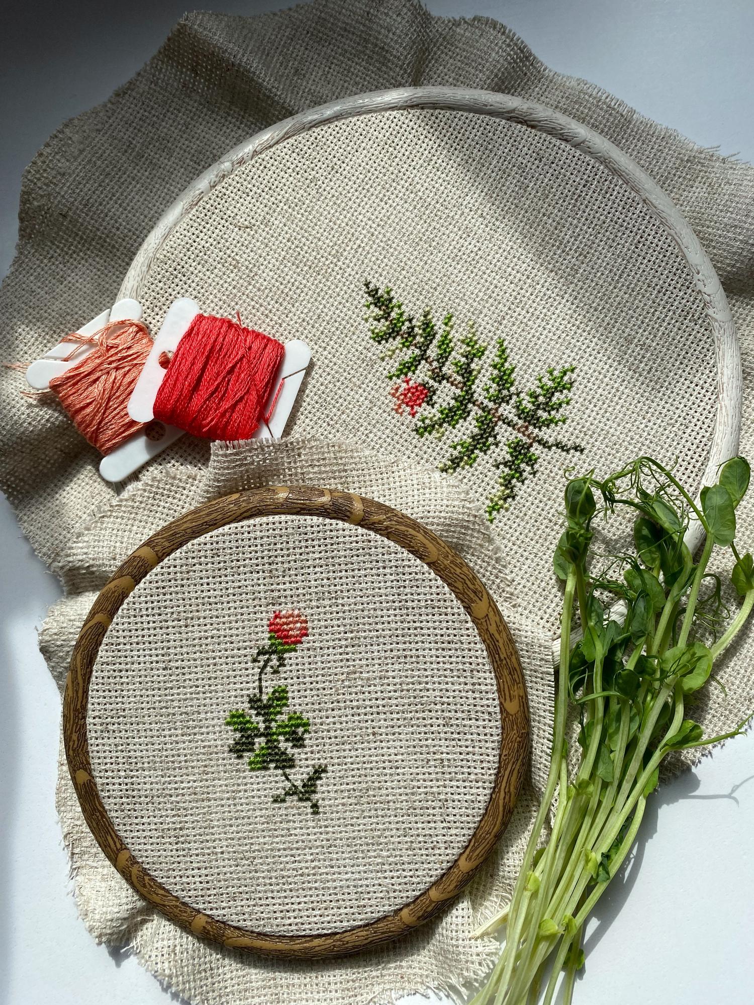 Папоротник и Клевер