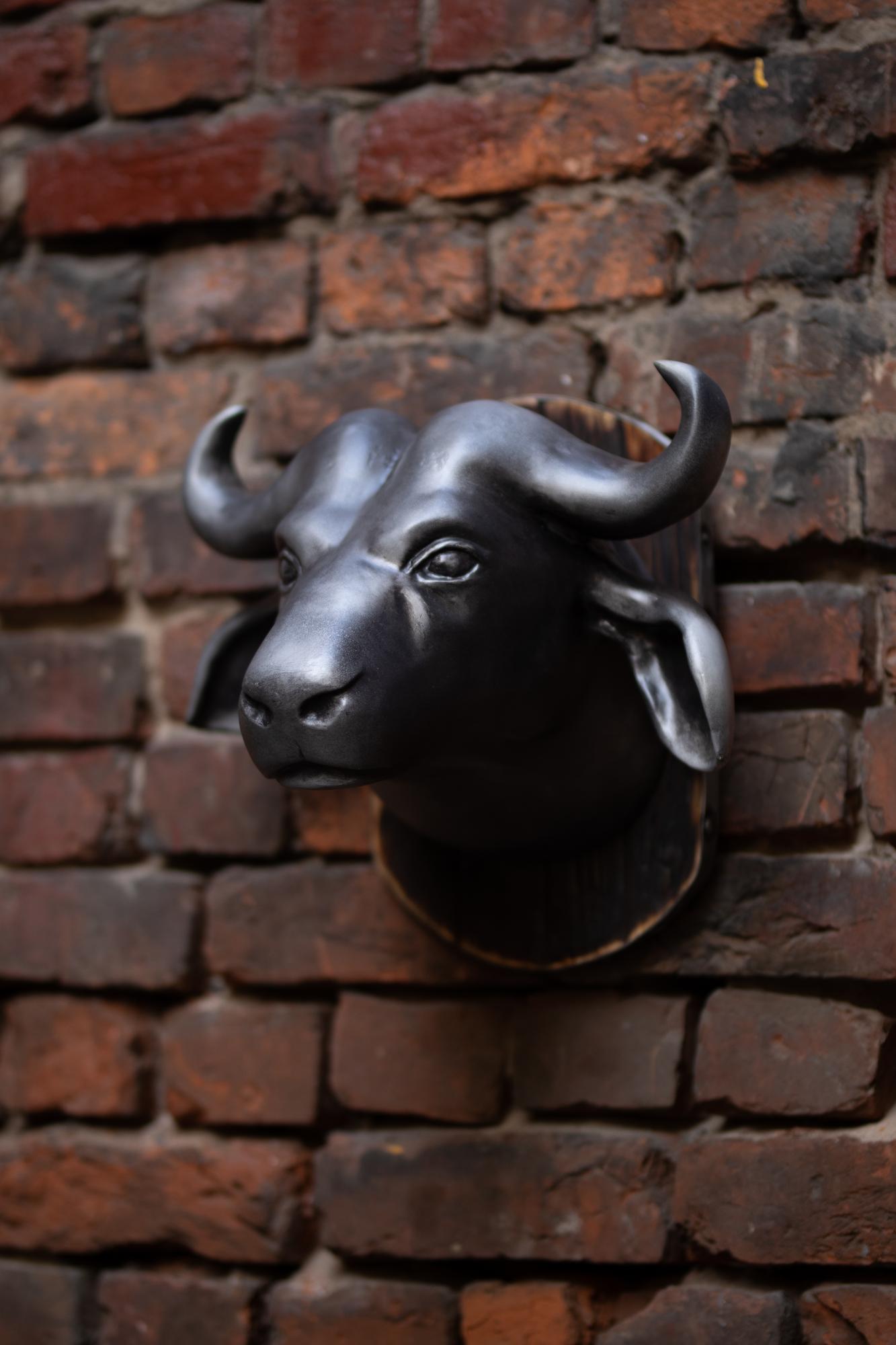 Голова буйвола