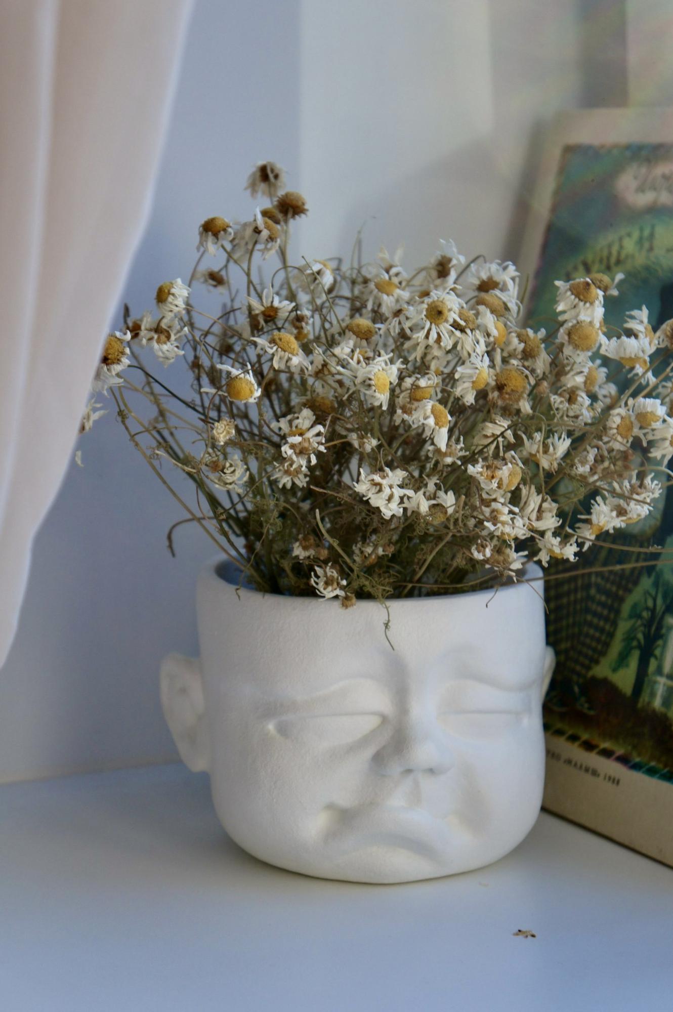 Гипсовое кашпо Обижулькин