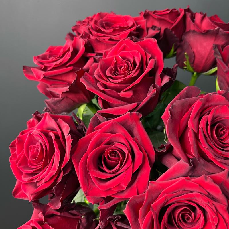 9 роз сорта "Эксплорер", Эквадор