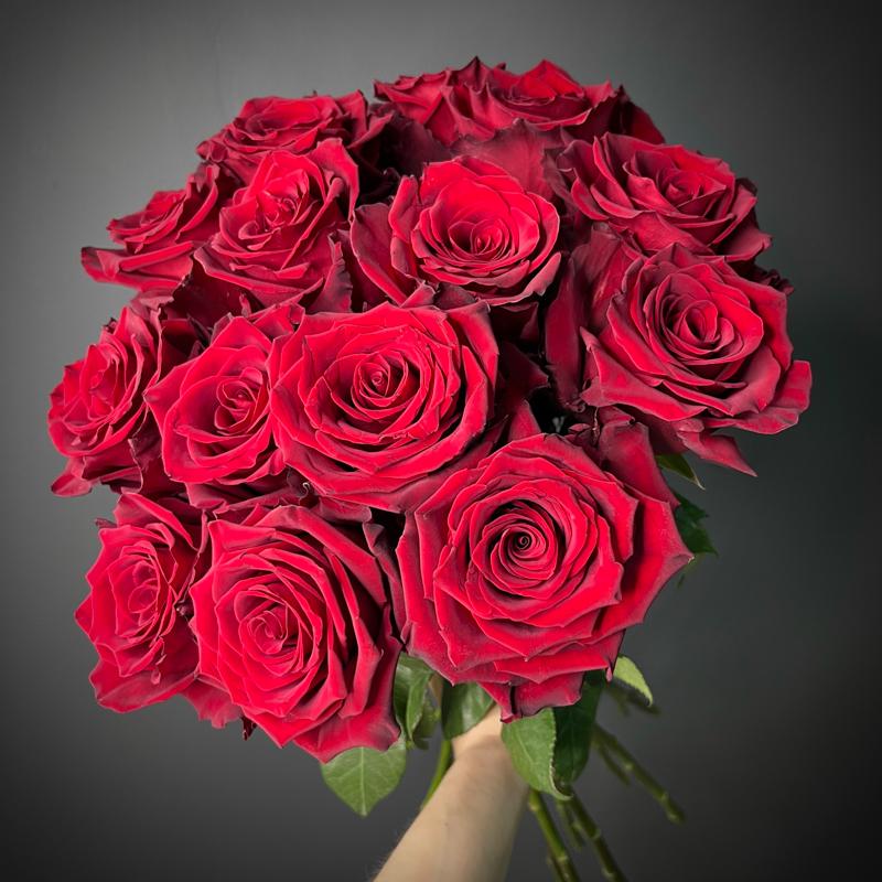 15 роз сорта "Эксплорер", Эквадор