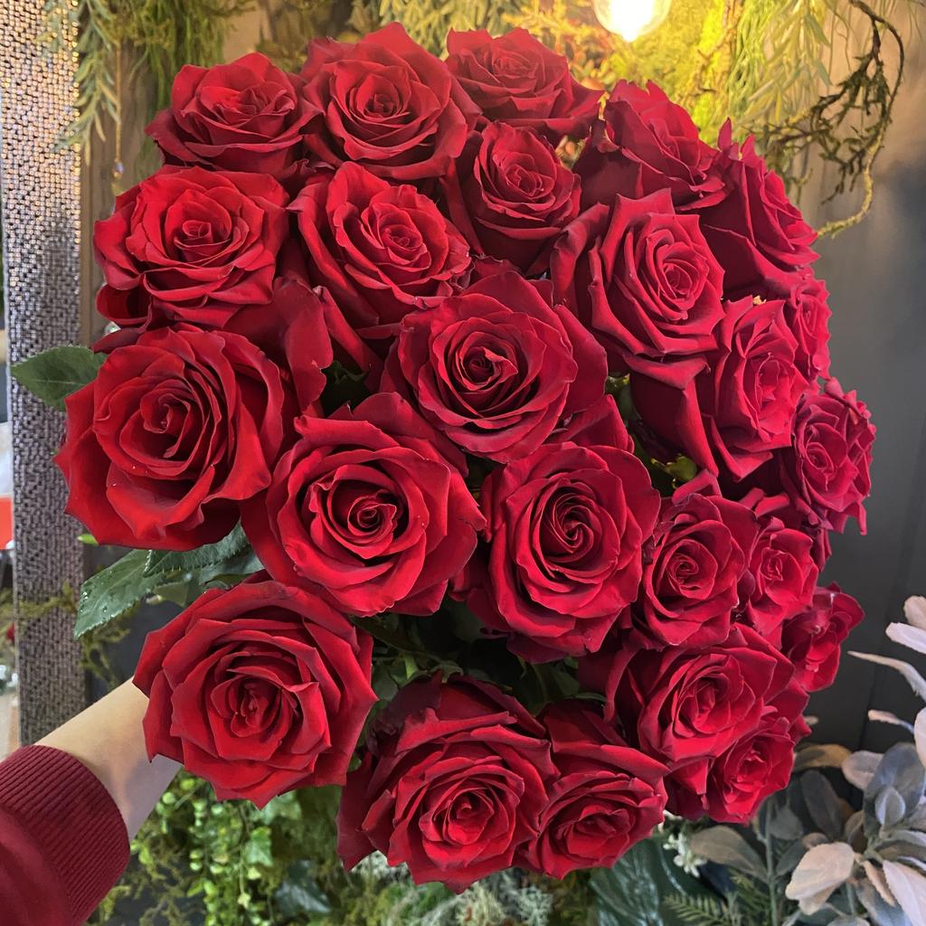 красные розы Эксплорер доставка