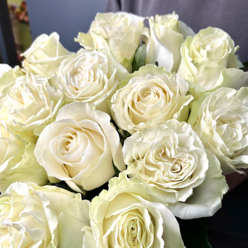 9 роз сорта "Мондиаль", Эквадор