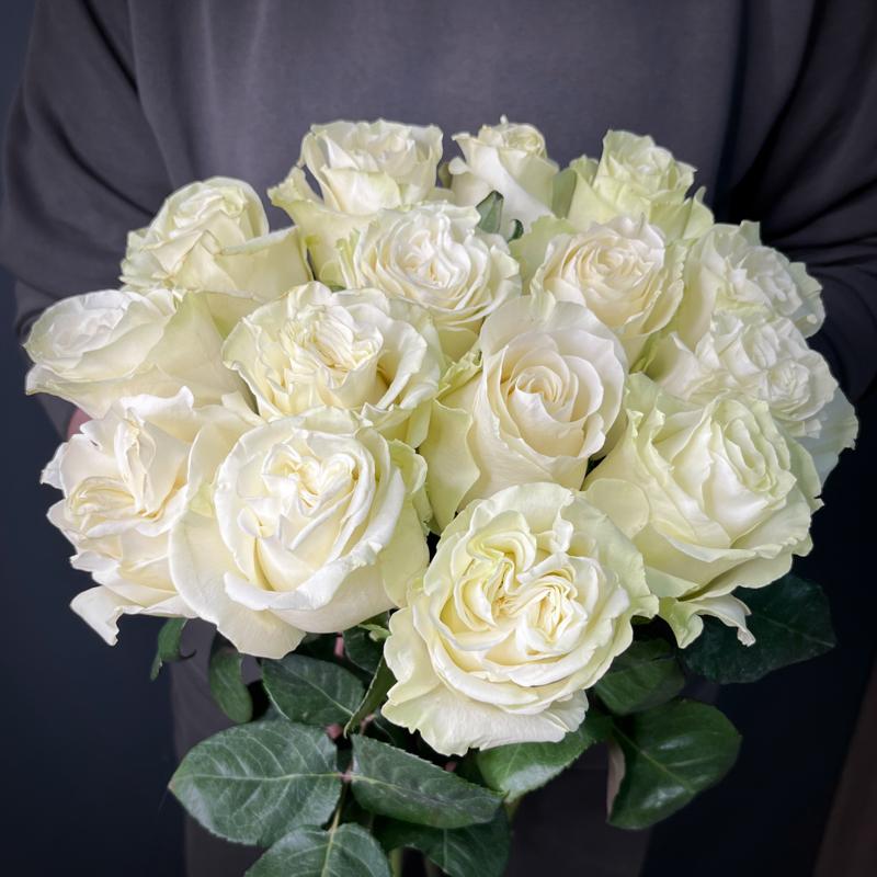 15 роз сорта "Мондиаль", Эквадор