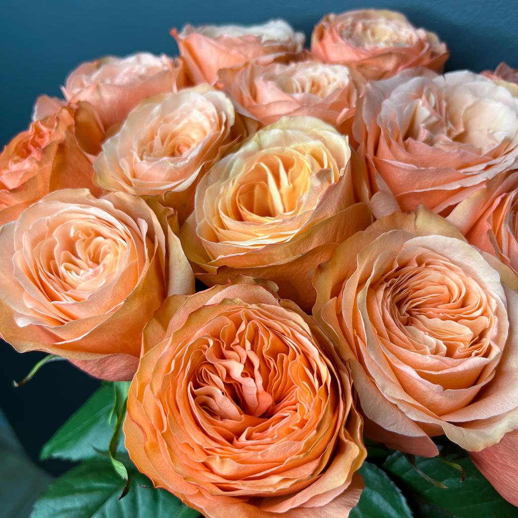 9 роз сорта "Кахала", Эквадор