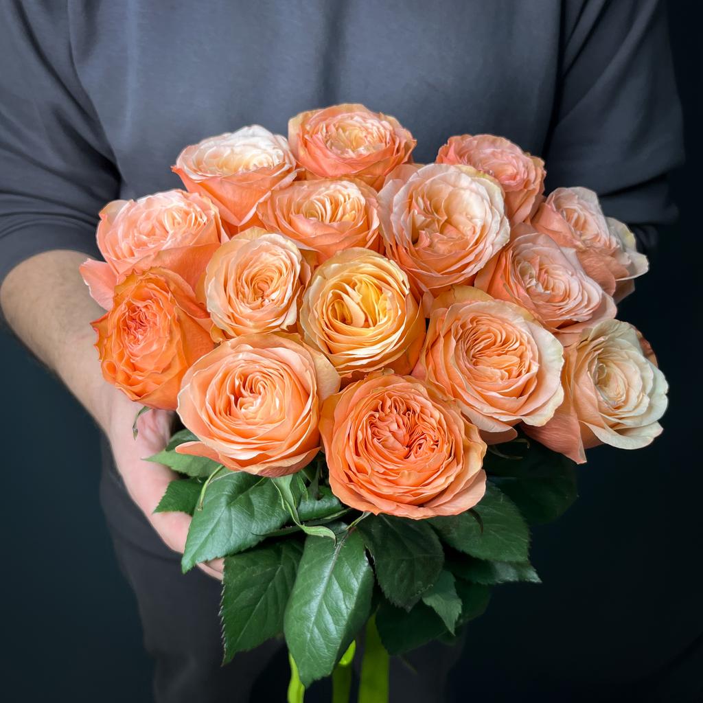 15 роз сорта "Кахала", Эквадор