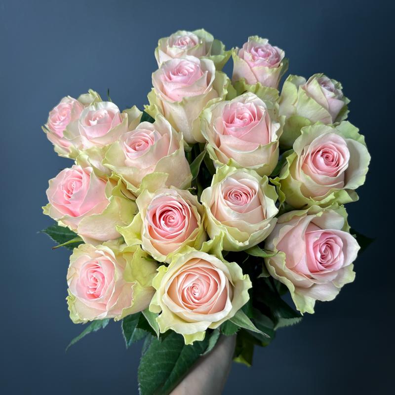 15 роз сорта "Фрутетто", Эквадор