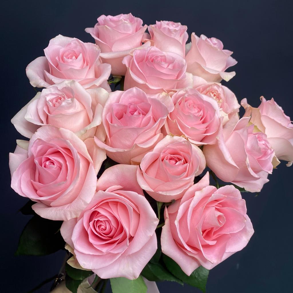 25 роз сорта "Лучиано"