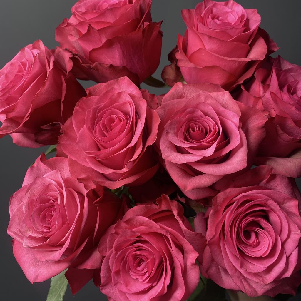 9 роз сорта "Лола", Эквадор