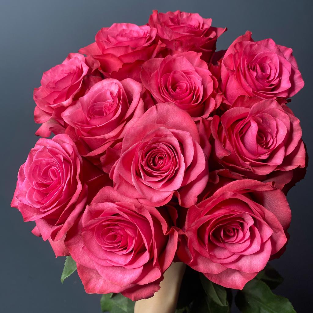 11 роз сорта "Лола", Эквадор